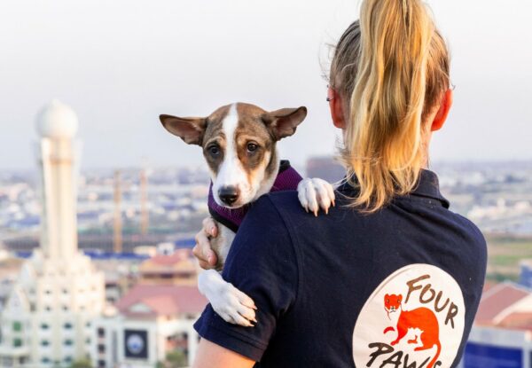 Animal Welfare & Wildlife Protection