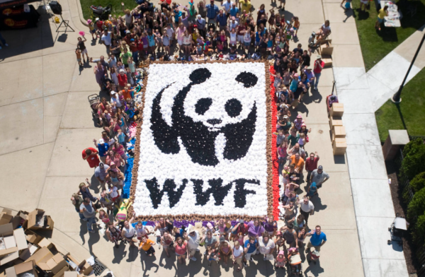 Animal Welfare & Wildlife Protection
